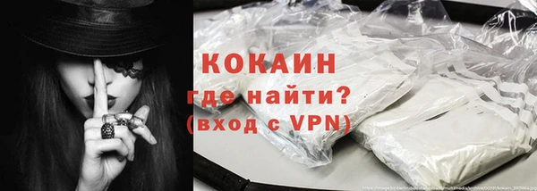 СК Алексин