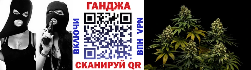 Шишки марихуана семена  Кингисепп 